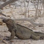 Jaragua National Park: Explore Laguna de Oviedo