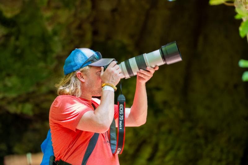 Private Birdwatching Tour from Punta Cana to Los Haitises National Park