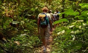 Hiking trails in Barahona (Dominican Republic). Cachote Mountains, Tropical Fruits & Swim - Dominican Republic