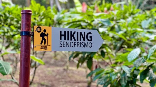 Self Guided Nature Hike with Ocean View Photo spots in Jaco