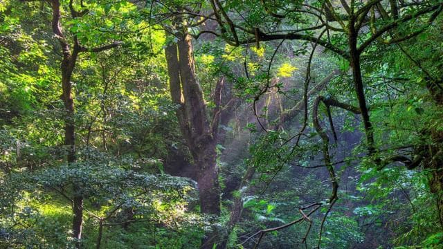Private Tour Diria National Park Unspoken Hiking and Nature