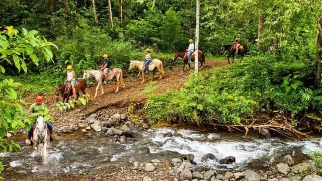 Jaco: Rainforest Horseback Ride to El Encanto Waterfall