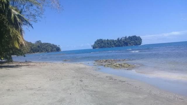 Manzanillo: Dolphin watching and Punta Mona Beach
