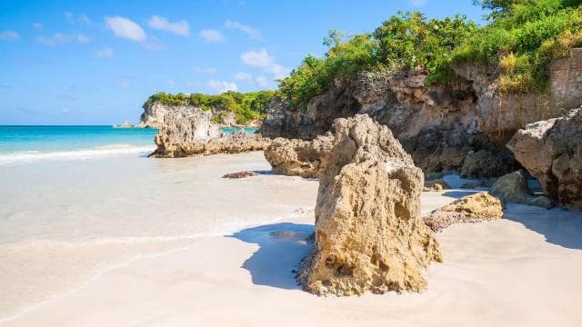 Punta Cana Surfing Experience: Surf in Dominican Republic