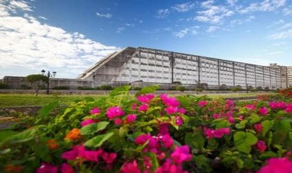 From Santo Domingo: Full day Historical Tour with Lunch