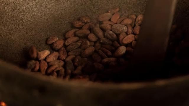 PV & Cahuita: Chocolate Tour Bri Bri Village & Waterfalltour