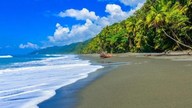 Corcovado National Park: Guided Hiking Tour - Full Day - Dominican Republic