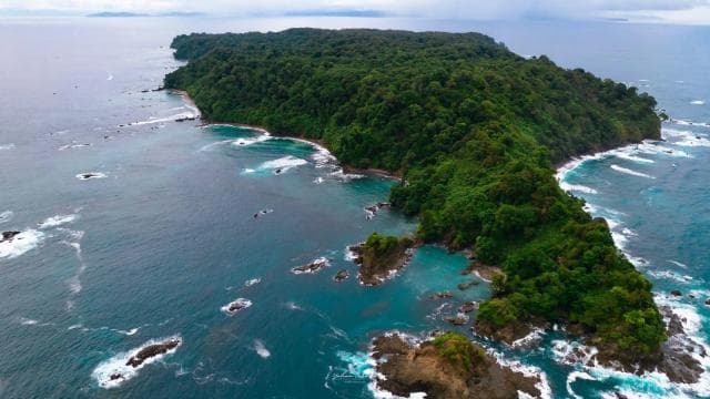 Uvita: Snorkeling at Caño Island - Unforgettable Experience