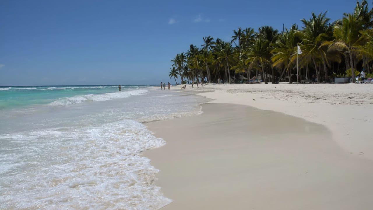 From Punta Cana: Zip Line Canopy Adventure Tour with Pickup