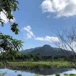 Puerto Plata Off-Road ATV Adventure