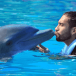 Punta Cana: Dolphin Explorer Swims and Encounters