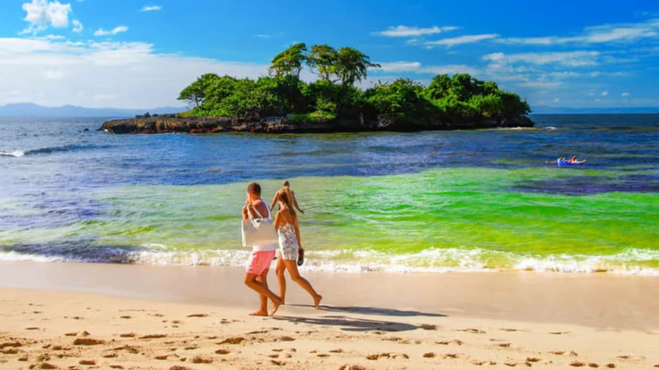 Samana: Full day Samana Amazing tour Punta Cana