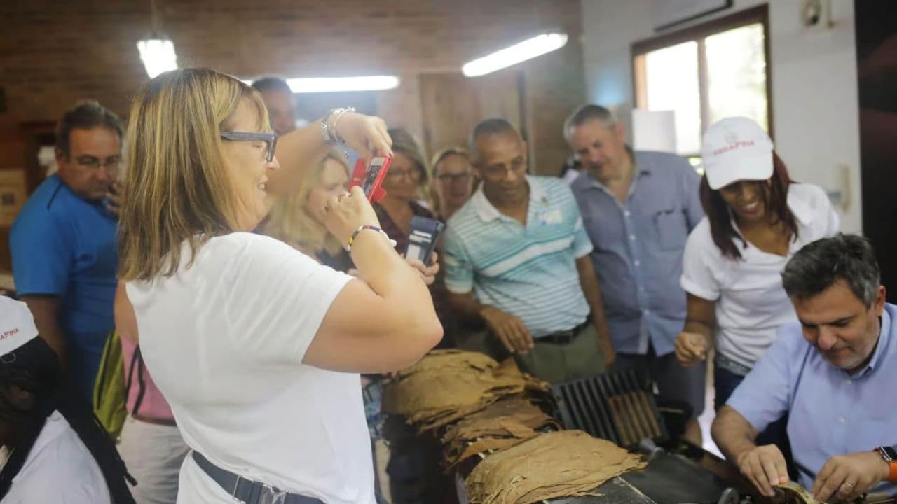 From Punta Cana: Higuey Basilica Safari Half-Day Tour