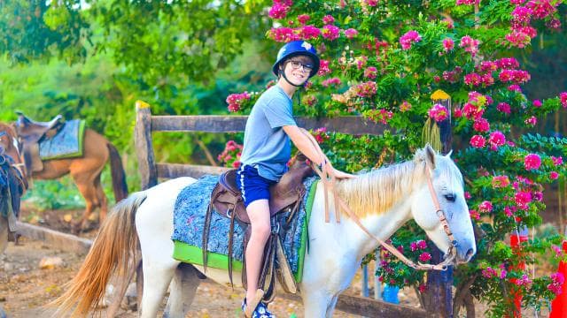 Horseback Riding at Macao Beach and River with Transfers