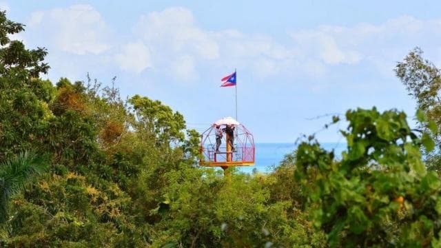 From San Juan: Zipline Canopy Adventure Tour