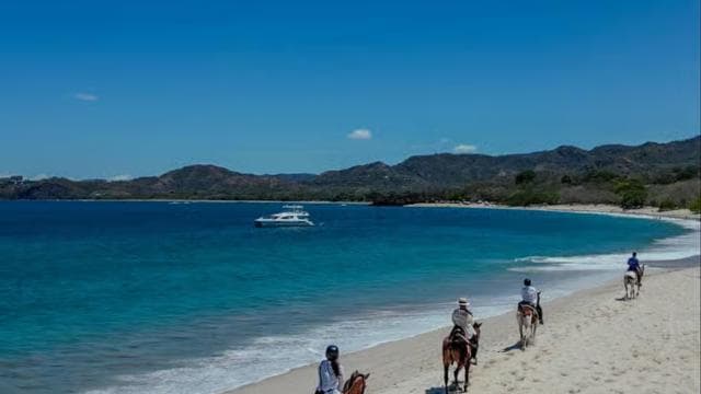 2 Hours Beach Horseback Riding