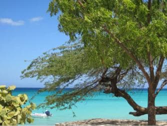 Bahía de las Aguilas: Beach Day Trip by Boat