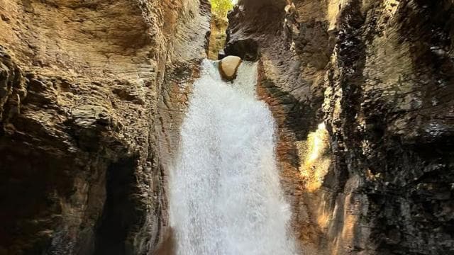 Rincon de la Vieja: La Leona Waterfall Private Tour