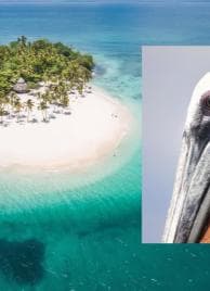 Santo Domingo: Los Haitises & Cayo Levantado Island