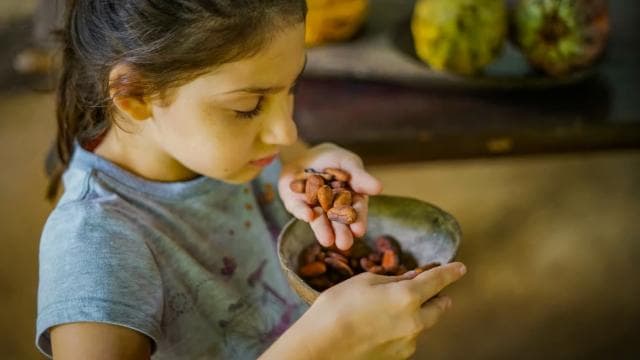 La Fortuna: Rainforest Chocolate Tour