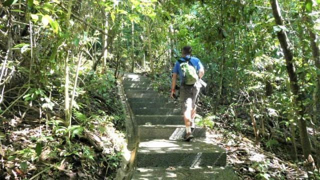 Manuel Antonio: Discover the tropical forests & white-sand