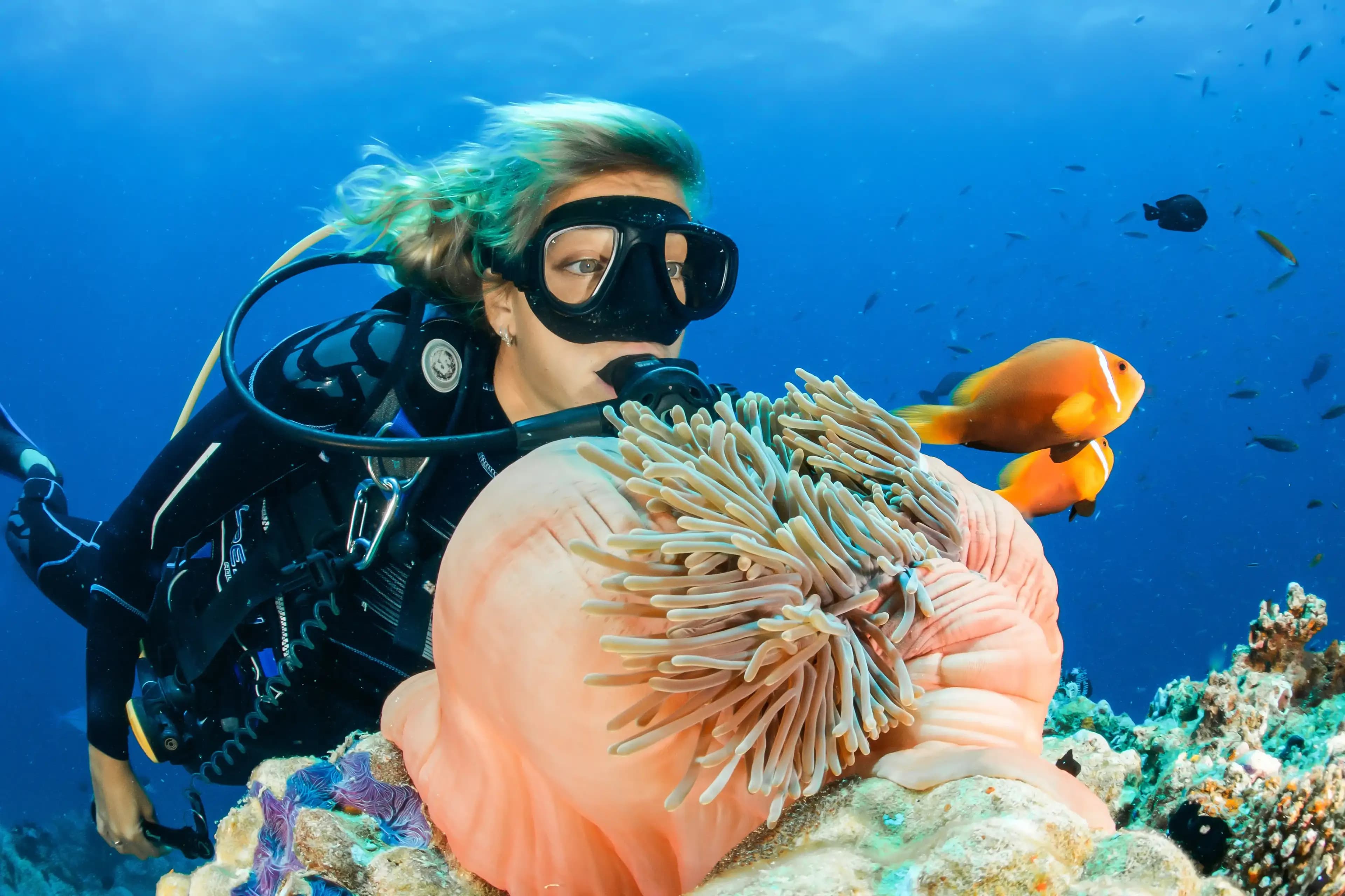 Bayahibe: PADI Open Water Course