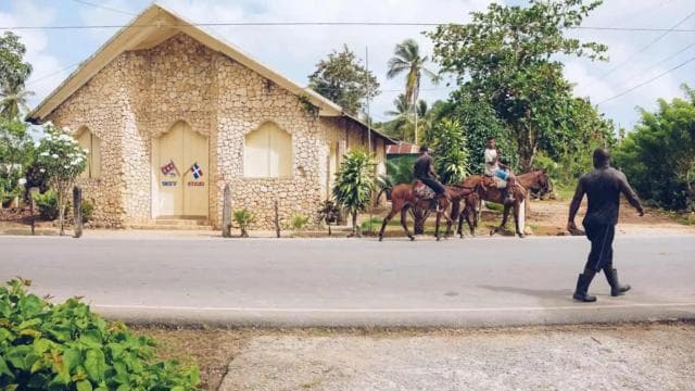 Punta Cana: Samana Full Day Trip Whale Cascada El Limon - Dominican Republic