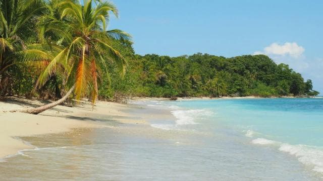 Costa Rica: Guided Nature Hike in Cahuita National Park