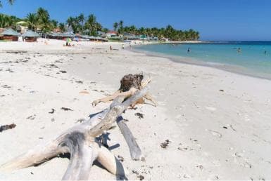 Private Catalina Island Snorkel & Beach Day from Punta Cana