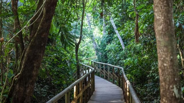 Manuel Antonio: Discover the tropical forests & white-sand