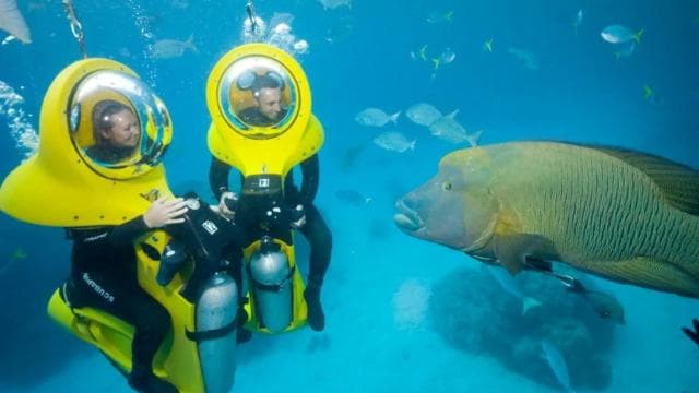 Punta Cana: Scubadoo Explore The Ocean