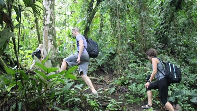 La Fortuna: Half-Day Waterfall Tour with Lunch