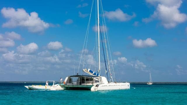 From Bayahíbe: Saona Island Catamaran Cruise with Buffet