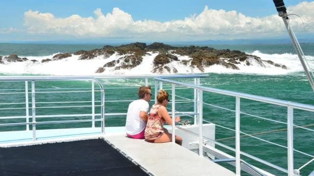 All-Inclusive Catamaran Eco Adventure with Lunch