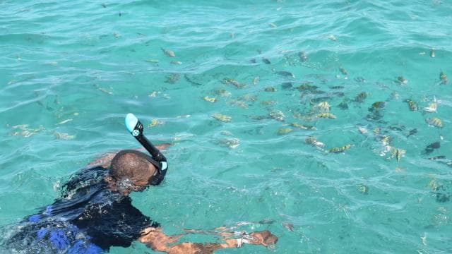 Punta Cana: Private VIP Catamaran Party Cruise and Snorkel