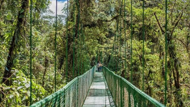 Monteverde: Zip Line, Bridges, and Butterfly Garden Tour