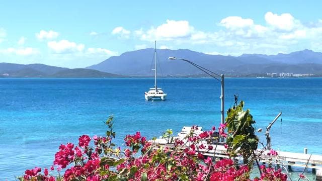 Fajardo: Catamaran Day Cruise to Palomino Island with Lunch