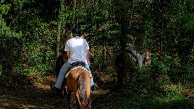 From Carolina: Horse Riding at a Private Ranch