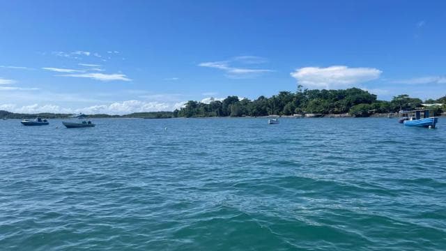 Puerto Jimenez: Kayak Adventure in the Golfo Dulce + Bioluminescence