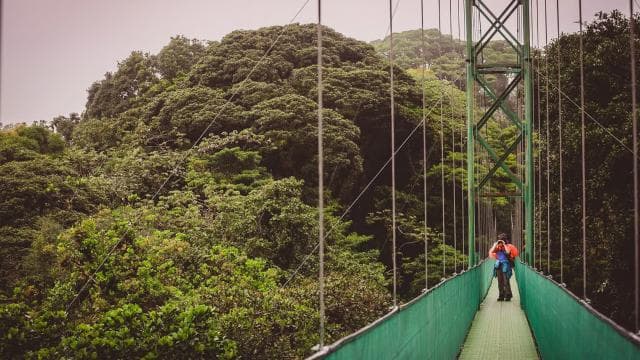 Monteverde: Sky Walk, Sky Tram & Sky Trek Ziplining Tour