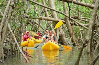 Boca Chica : Los Haitises Guided Hike and Kayaking