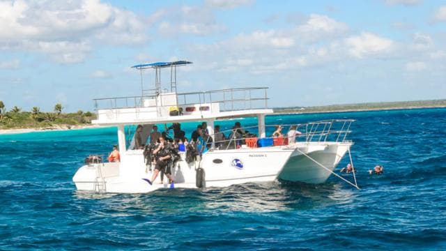 Catalina Island Scuba Diving Tour from Punta Cana