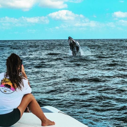 Punta Cana: Miches Whale Watching Catamaran Tour with Snacks
