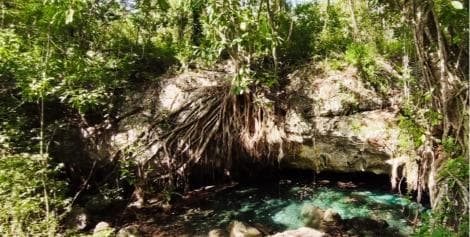 Bayahibe: National Park Jungle Walk & Snorkeling in Cenotes