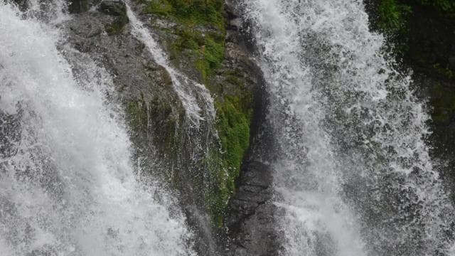 Savegre River Rafting and Waterfall Adventure