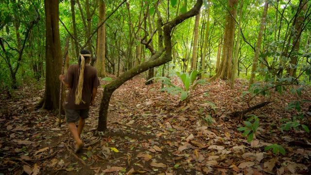 La Fortuna: Small-Group Maleku Indigenous Reserve Visit