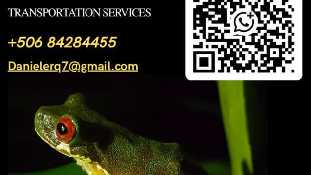 Monteverde: Tropical Forest Night Tour