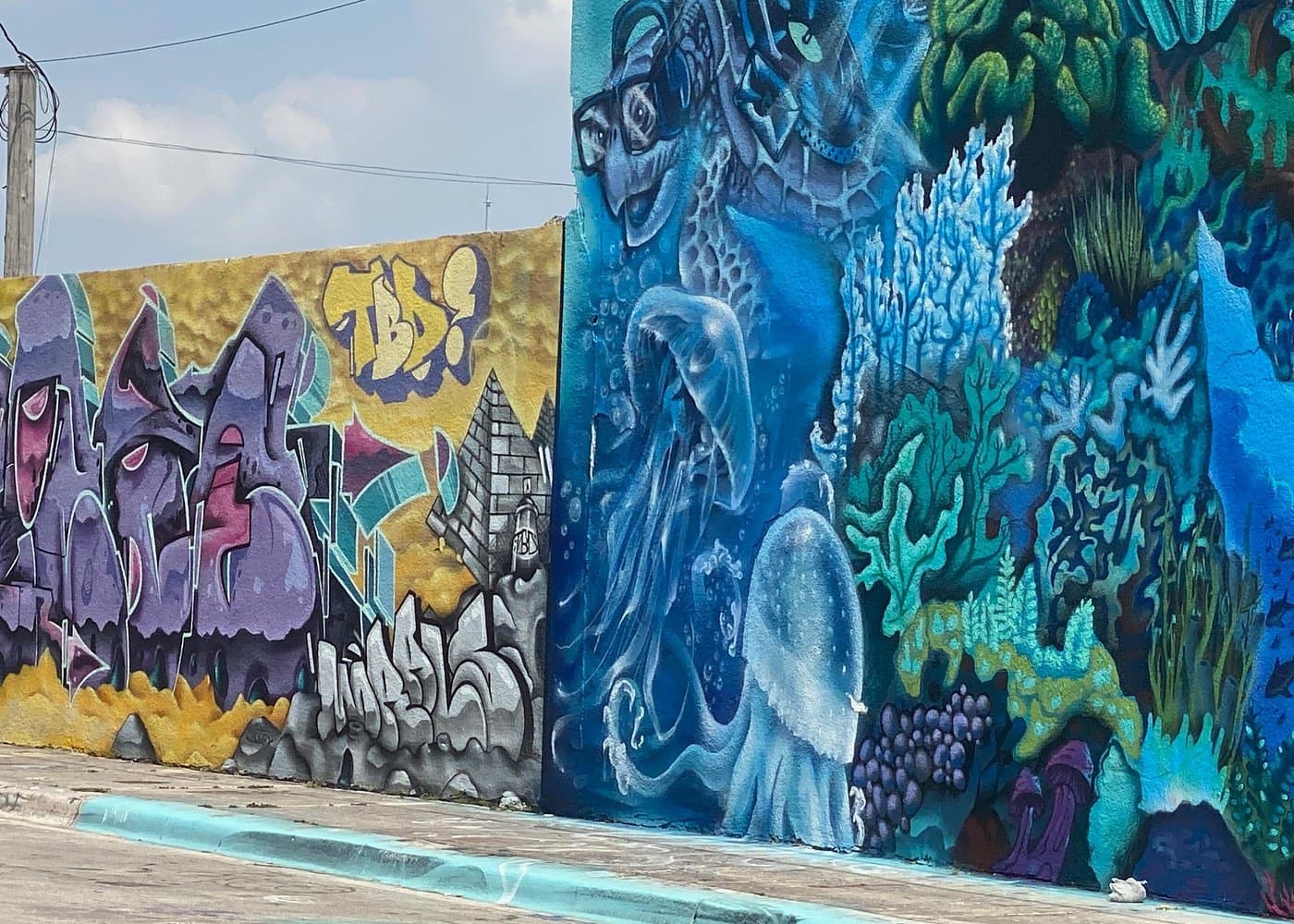 Little Havana and Wynwood Walls District Guided Tour
