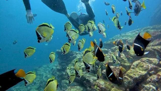 Tamarindo: Private Snorkeling Boat Charter Guanacaste