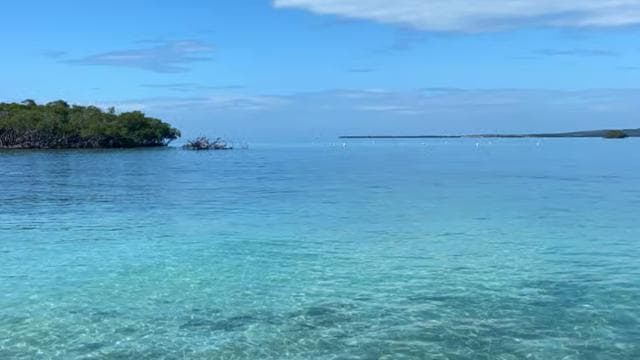 From La Parguera: Local Sandbars Speedboat Day Trip
